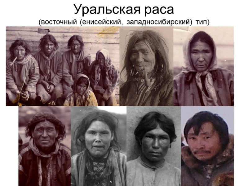 Уральская раса (восточный (енисейский, западносибирский) тип)